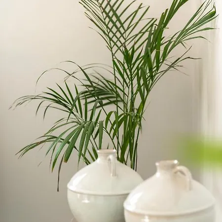 Emelia Cozy Διαμέρισμα